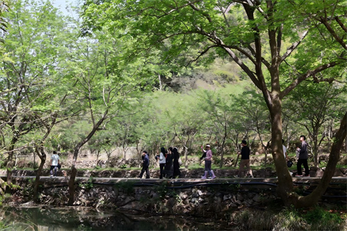 Happy Team Building a Zhong Yandang Mountain
